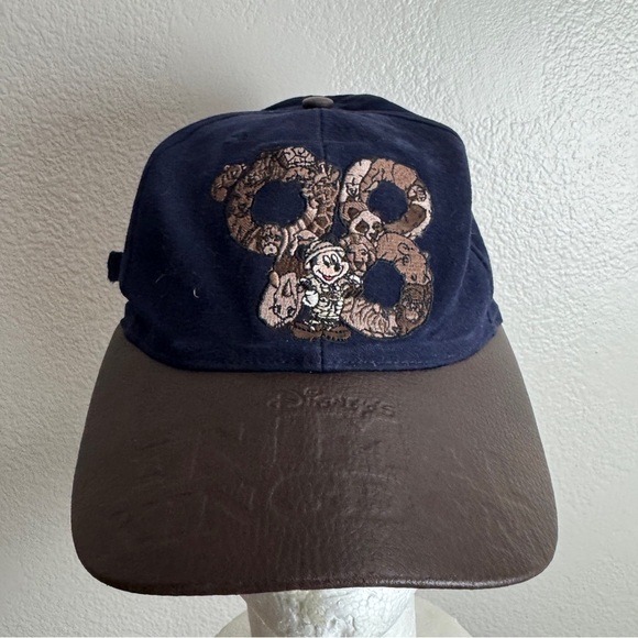 Disney Other - Animal Kingdom 98 Disney World Vintage Hat OSFM